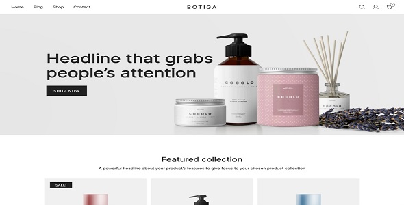 botiga-theme-1.jpg