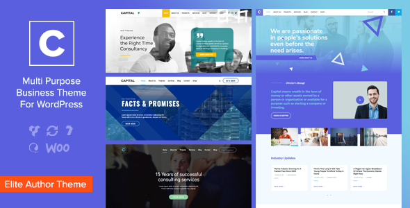 Capital - Multi Purpose Business WordPress Theme.png