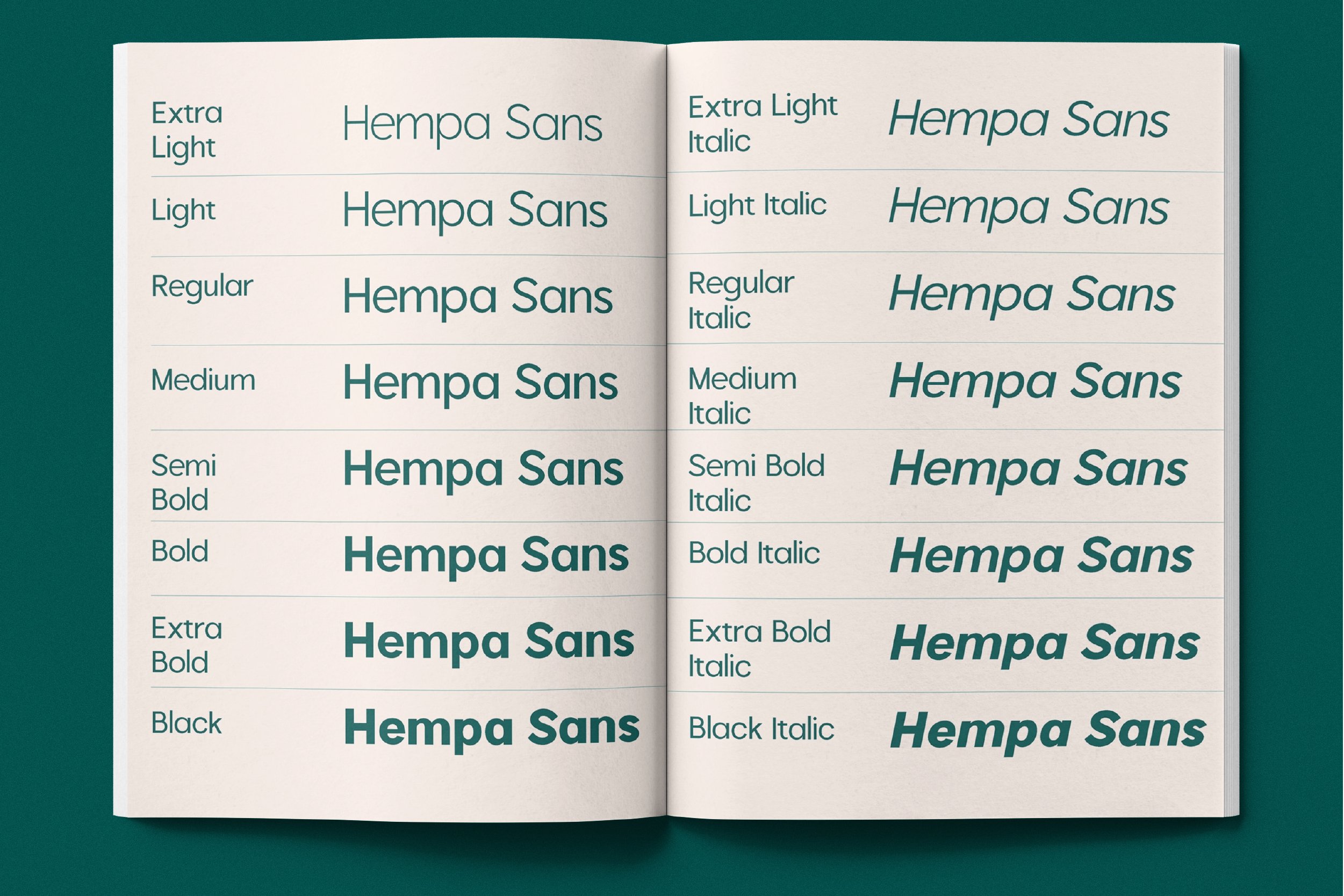 hampa-sans-creative-market-03-.jpeg