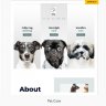 Astra Premium Starter Templates - Ready to Import Starters Website
