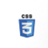 WPCode Pro - Easily Add Code Snippets in WordPress