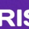 RISE - Ultimate Project Manager By FairSketch