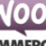 WooCommerce API Manager