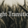 Light Transitions For FCPX VideoHive
