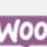 SS WooCommerce Myaccount Ajax Tabs