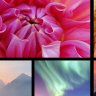 Themify Builder Mosaic Addon