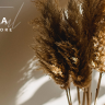 Askka - Candle Shop WP Theme