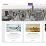 Radiate Pro - Favorite theme of Bloggers