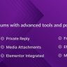 BBP Core Pro - The Ultimate bbPress Forum Builder