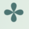 Flexora Chiropractors Message and Physical Therapists WordPress Theme
