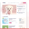 Wavy - Modern & Lightweight Blog for WordPress