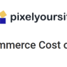 PixelYourSite WooCommerce Cost of Goods